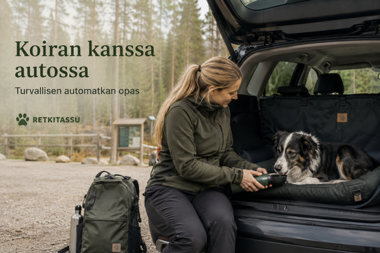 Turvallisesti autossa koiran kanssa